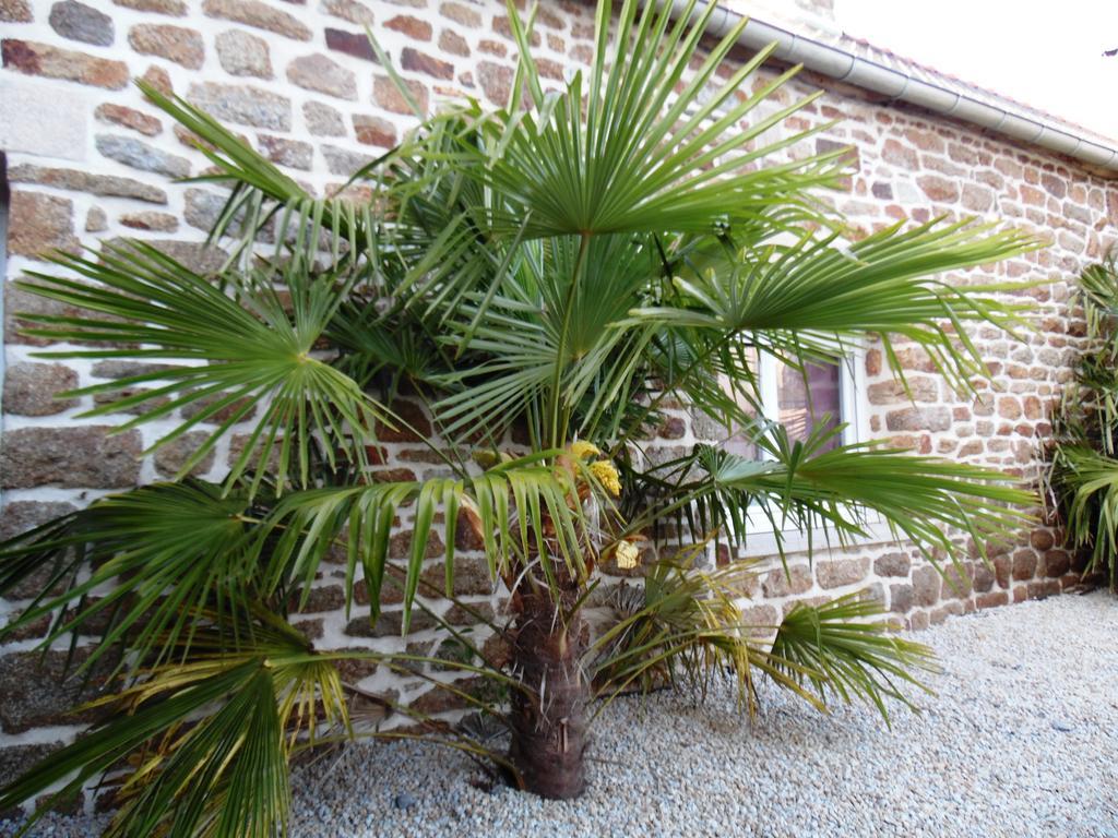 Gites Mont Saint Michel "Aucoeurdelabaie" Sains Экстерьер фото